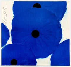 Blaue Mohnblumen 2018