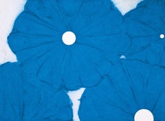 Amapolas azules