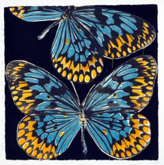 Butterflies, Donald Sultan, sérigraphie 20 couleurs avec papillons flottants