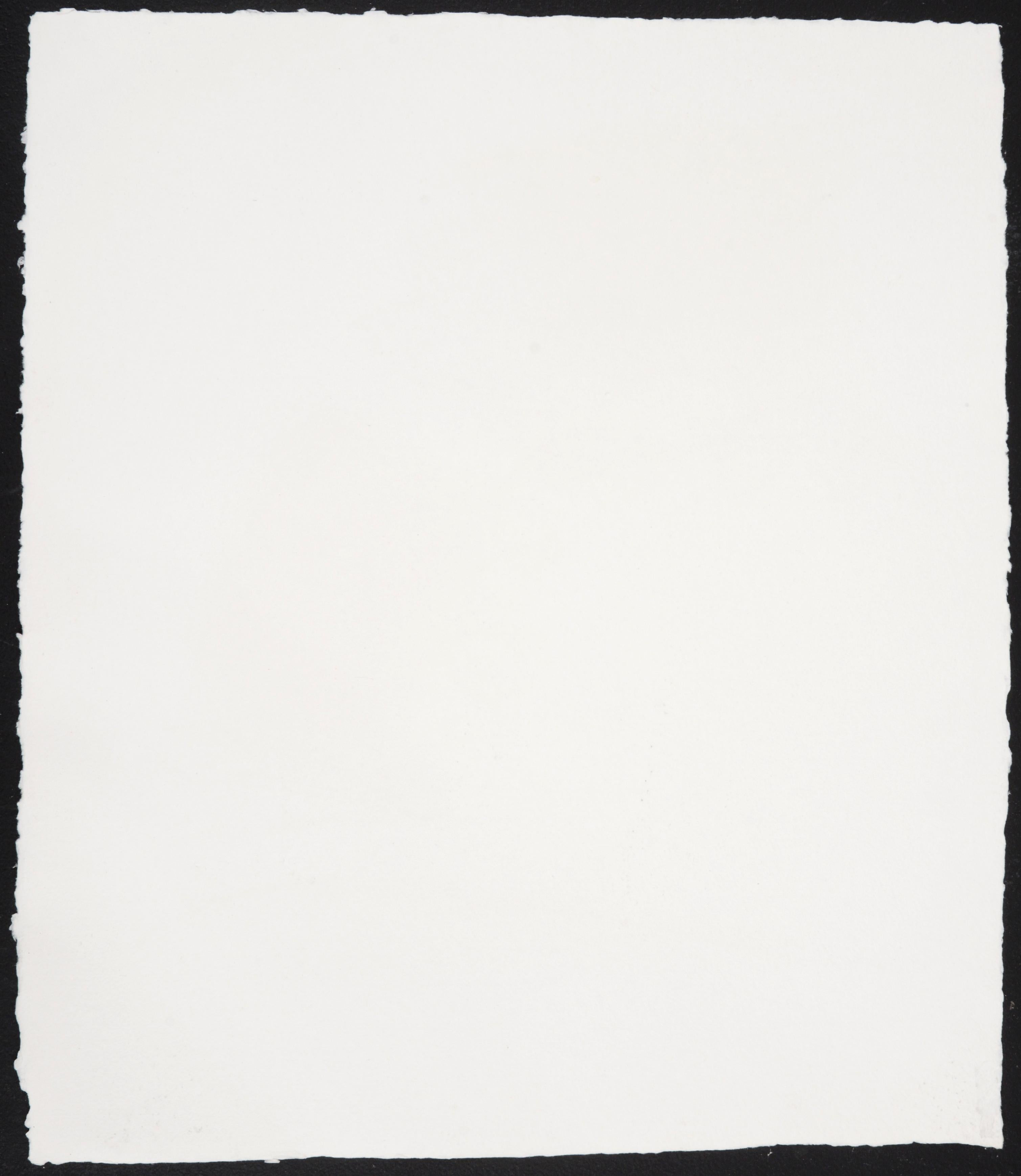 Claes Oldenburg NOTEBOOK TORN IN HALF Lithograph in vendita 1