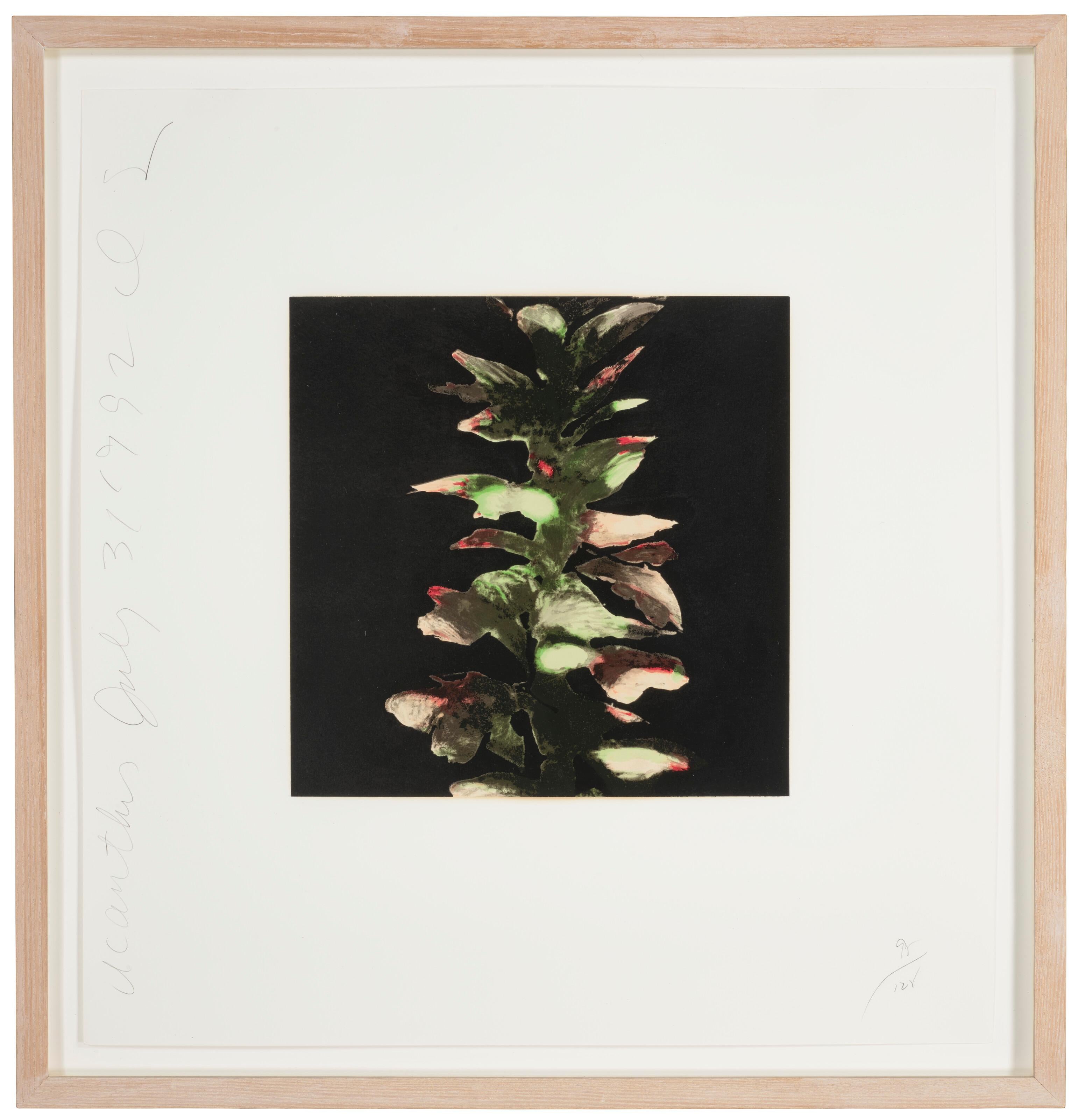 Collection from Fruits and Flowers II & III For Sale 6