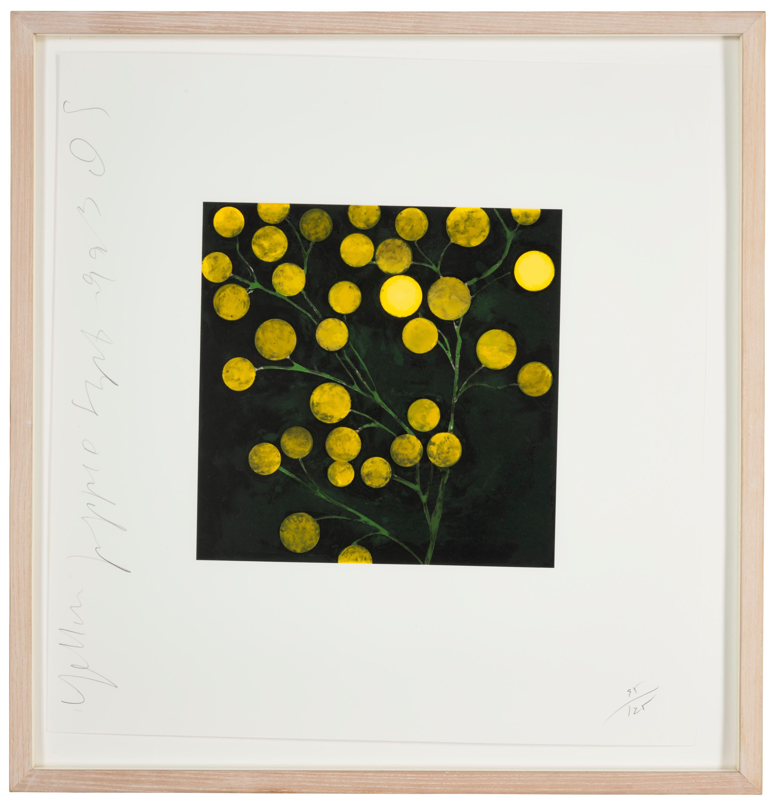 Collection from Fruits and Flowers II & III For Sale 1