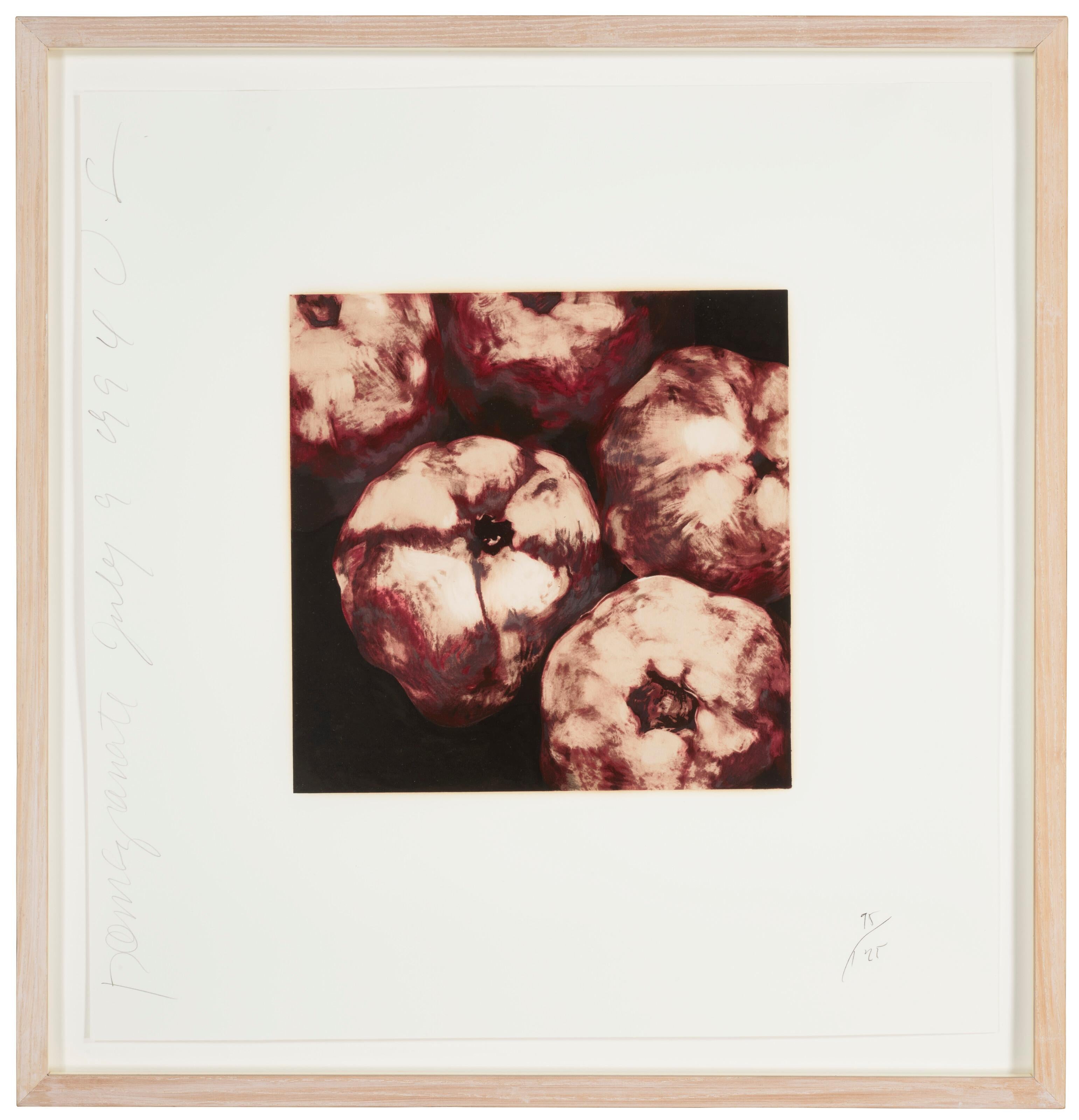 Collection from Fruits and Flowers II & III For Sale 2