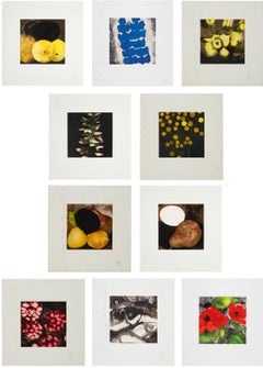 Collection of Fruits and Flowers II & III