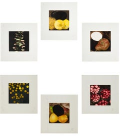 Collection'S II e III Serigrafie di Frutti e Fiori, Contemporaneo, Firmato 19