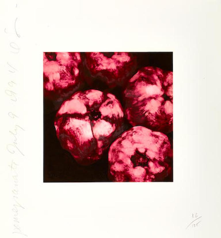 Donald Sultan (born 1951)
Pomegranate July 9, 1994, from the series Fruits and Flowers III, 1994
Screenprint in colors on wove paper
Signed in pencil, titled, dated and numbered 86/125
Published/printed by Parasol Press Ltd., New York, with full