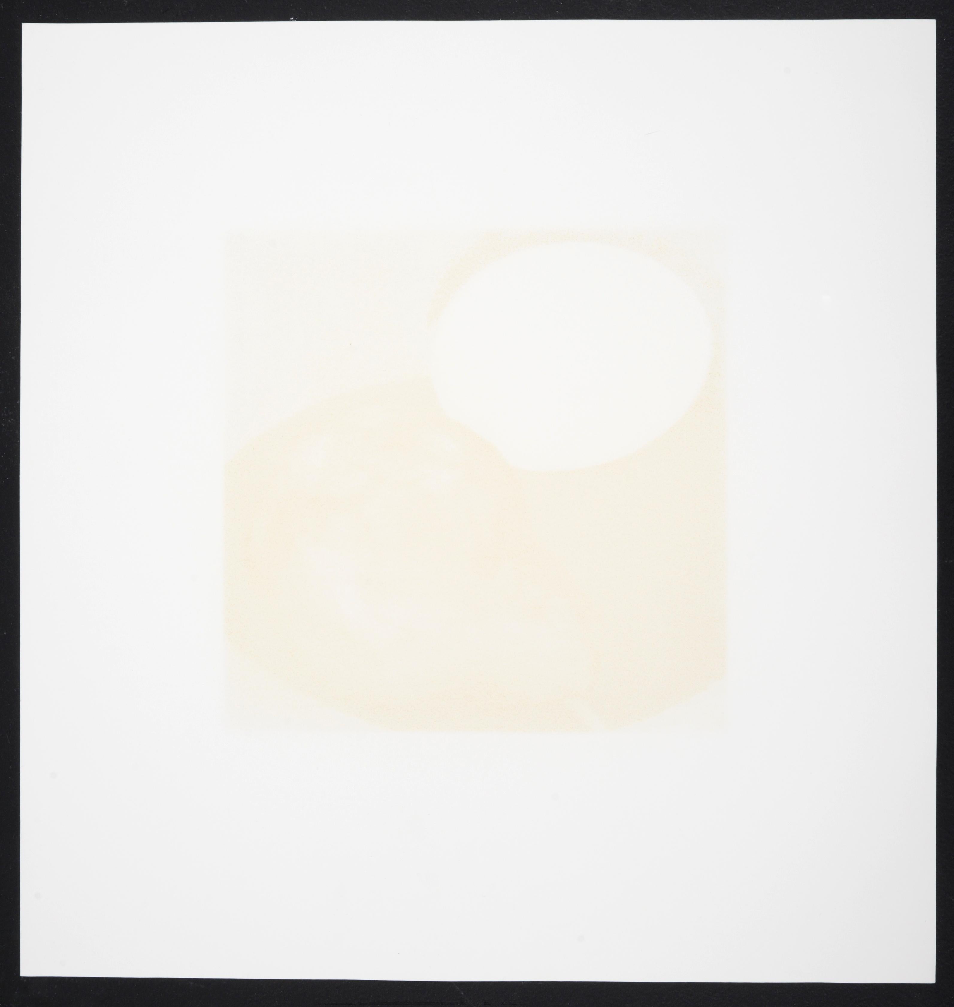 Donald Sultan Due pere, un limone e un'anguria Serigrafia in vendita 3