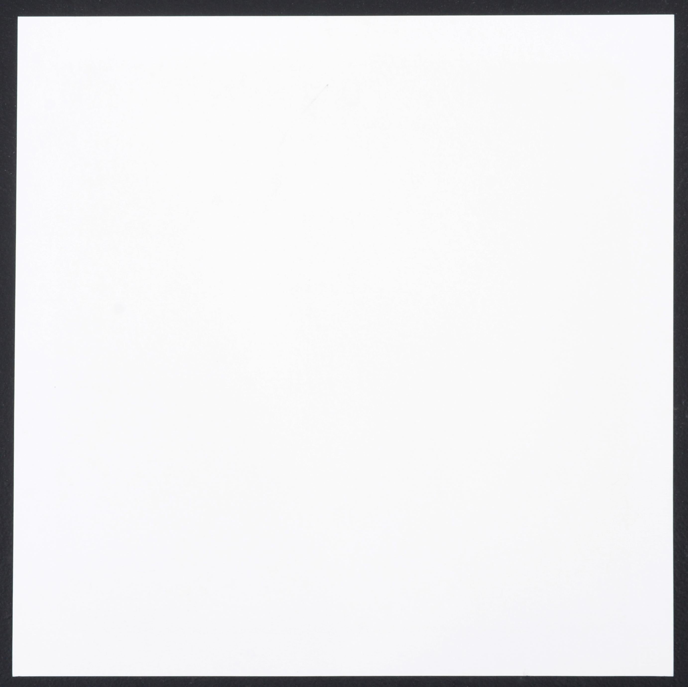 Donald Sultan UNTITLED Serigraph en venta 3