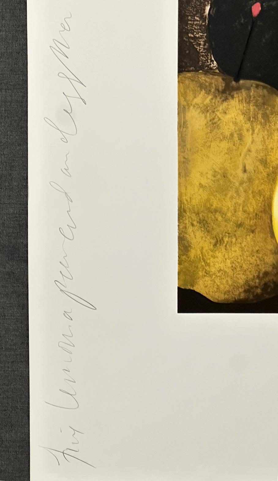 Five Lemons A Pear and Egg 1994 Signierter Siebdruck in limitierter Auflage  (Zeitgenössisch), Print, von Donald Sultan