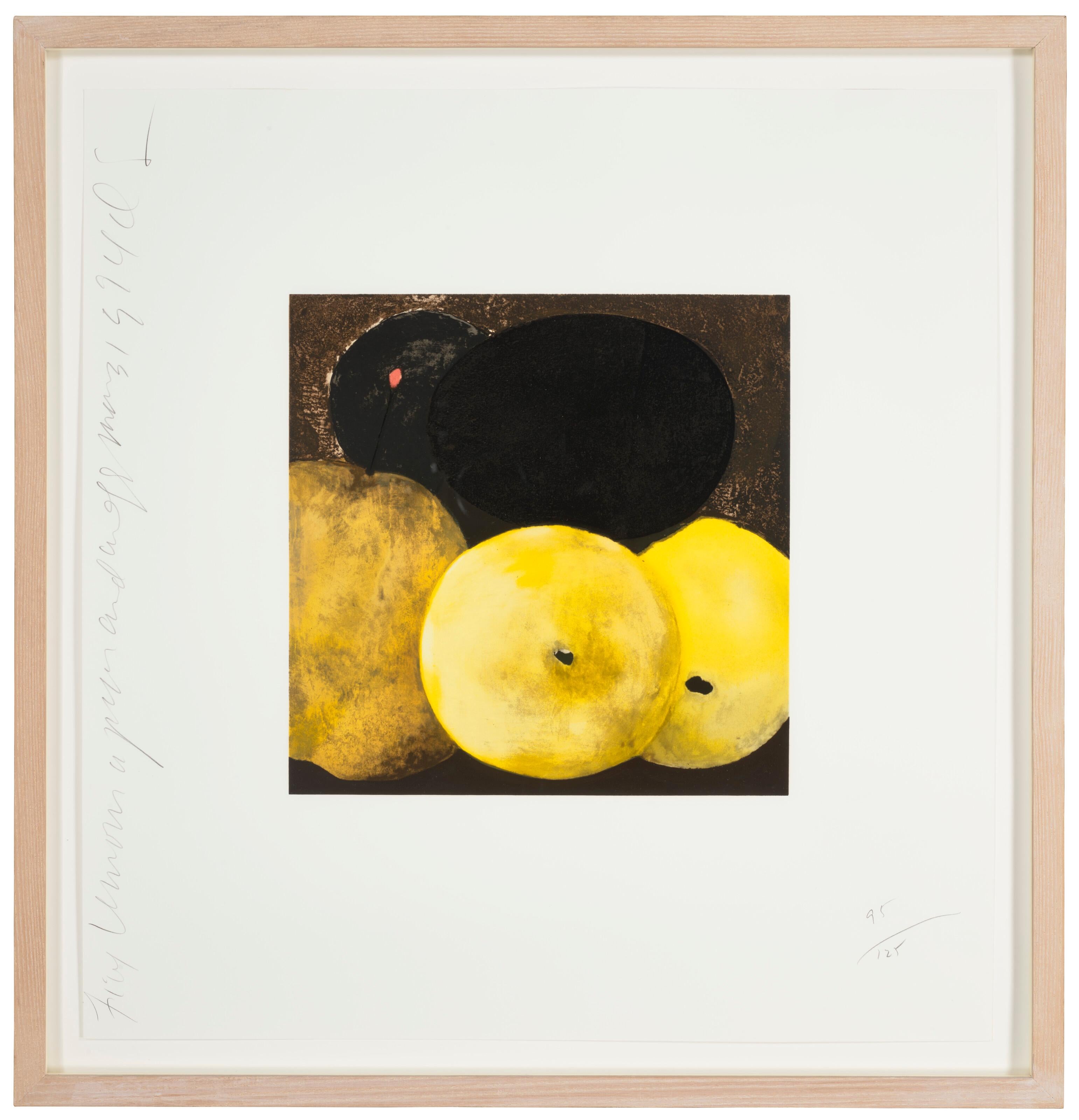 Five Pears, a Lemon and an Egg from Fruit and Flowers III, 95/125 For Sale 3
