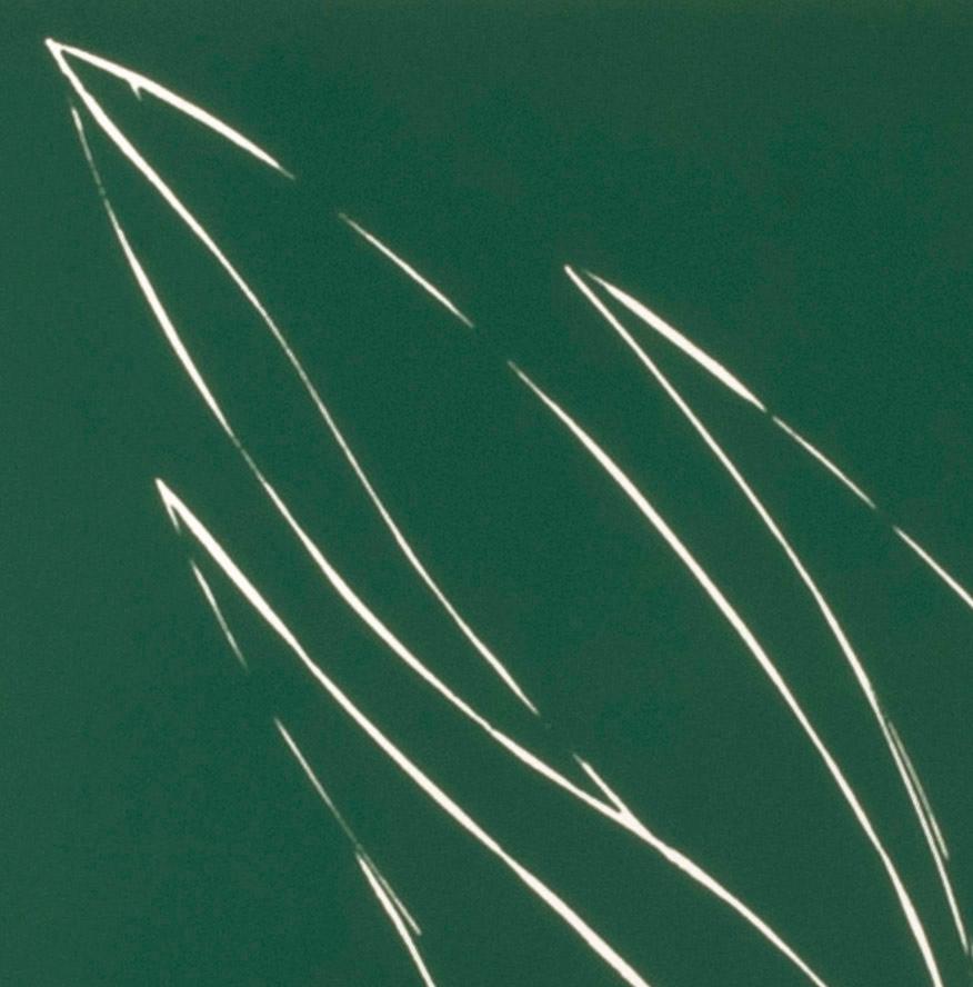 Französische Schwertlilie I – Print von Donald Sultan