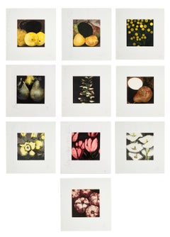 Serie "Frutas y flores" (Grupo de 10)