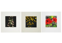Fruit and Flowers Series: 10 Screen Prints on Arches Paper, 1990s