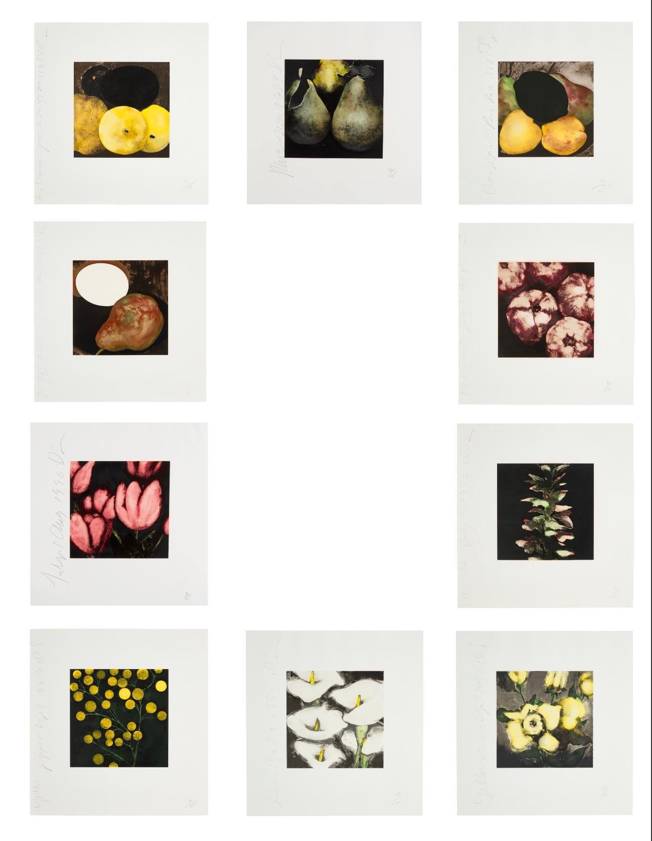Animal Print de Donald Sultan - Serie "Frutas y flores" (Grupo de 10)