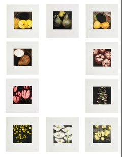 Serie "Frutas y flores" (Grupo de 10)