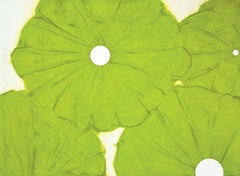 Amapolas verdes
