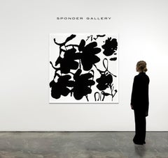 Flores linterna  BLANCO Y NEGRO, 4 DE OCTUBRE DE 2017