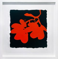 Lanternes et fleurs rouges, 10 mai 2012