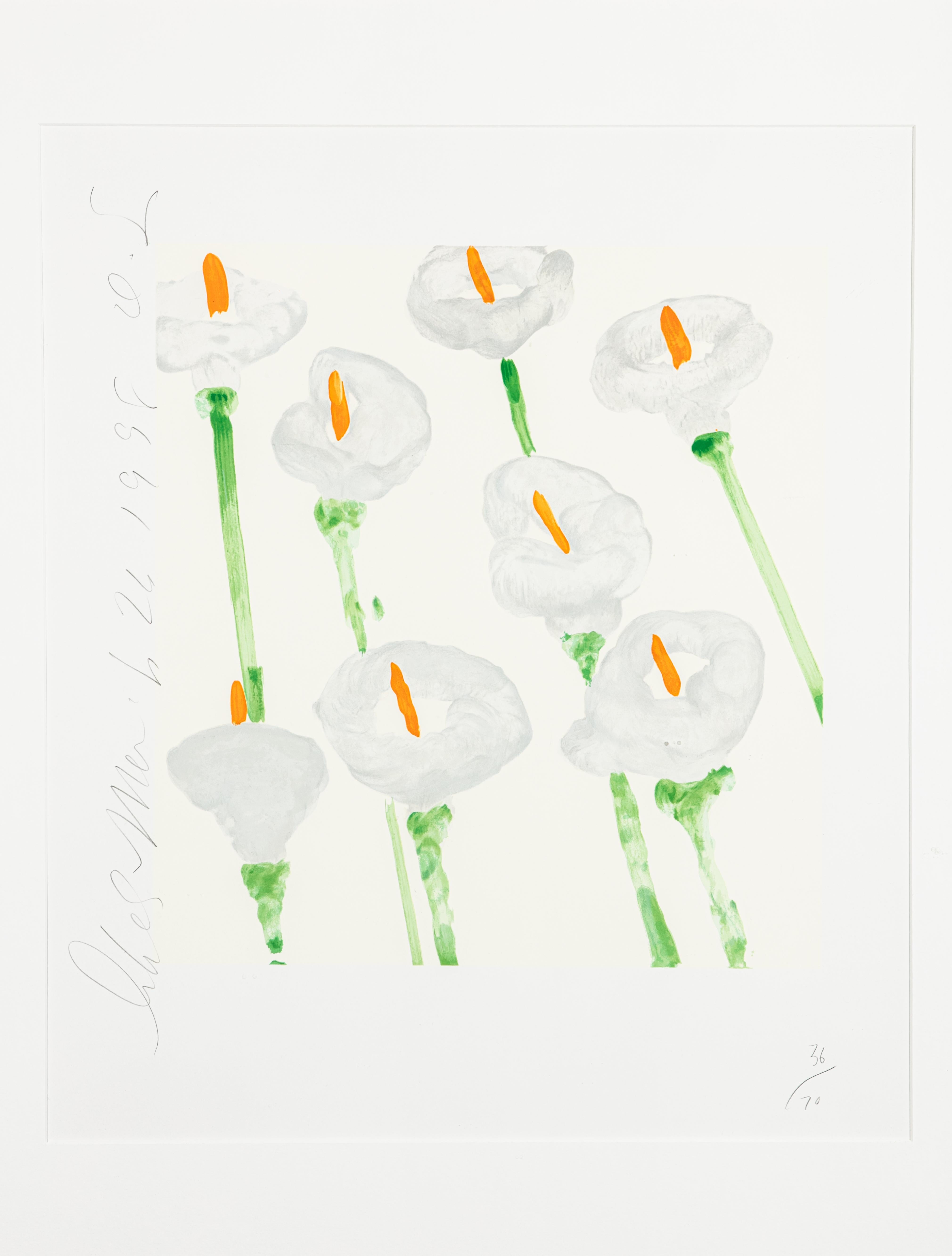 Lirios - Print de Donald Sultan