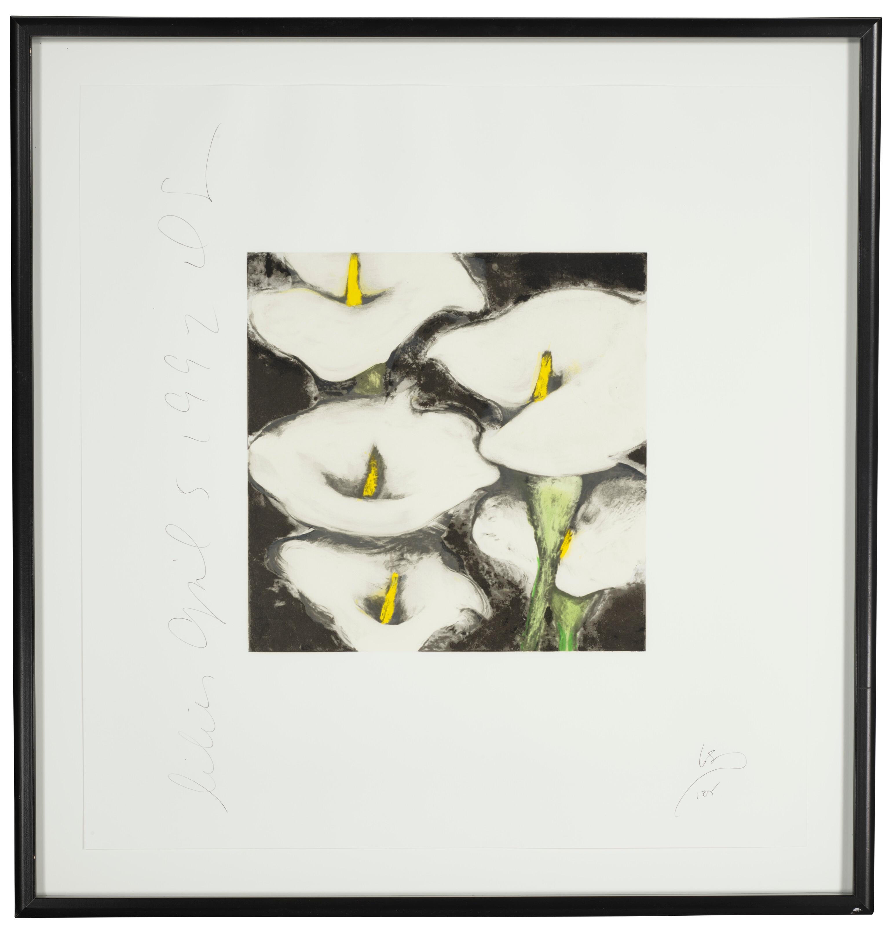 Screen print in colors on Arches paper, Signed, dated titled in pencil, Edition of 125

Image size 12 x 12 inches
Sheet size 23 x 22 inches

Framed


Donald Sultan is best known for his still life imagery, deconstructing and transforming organic