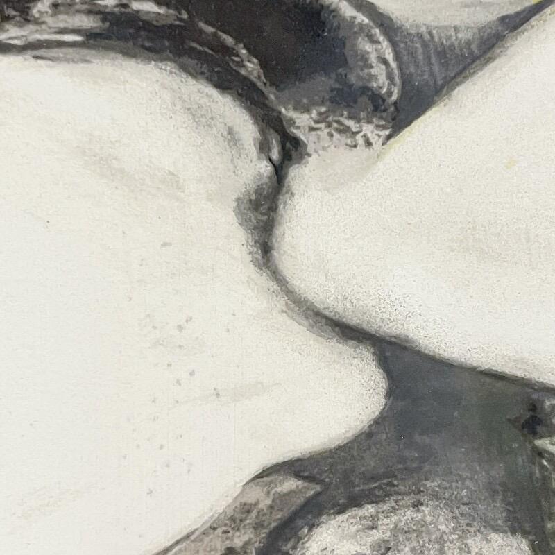 Lirios de Frutas y Flores III, 65/125 - Print Minimalista de Donald Sultan