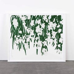 Mimosa, April 30 - Contemporary, 21st Century, Silkscreen, Mimosa, Flower, White