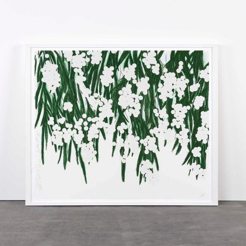 Donald Sultan Figurative Print - Mimosa, April 30 - Contemporary, 21st Century, Silkscreen, Mimosa, Flower, White