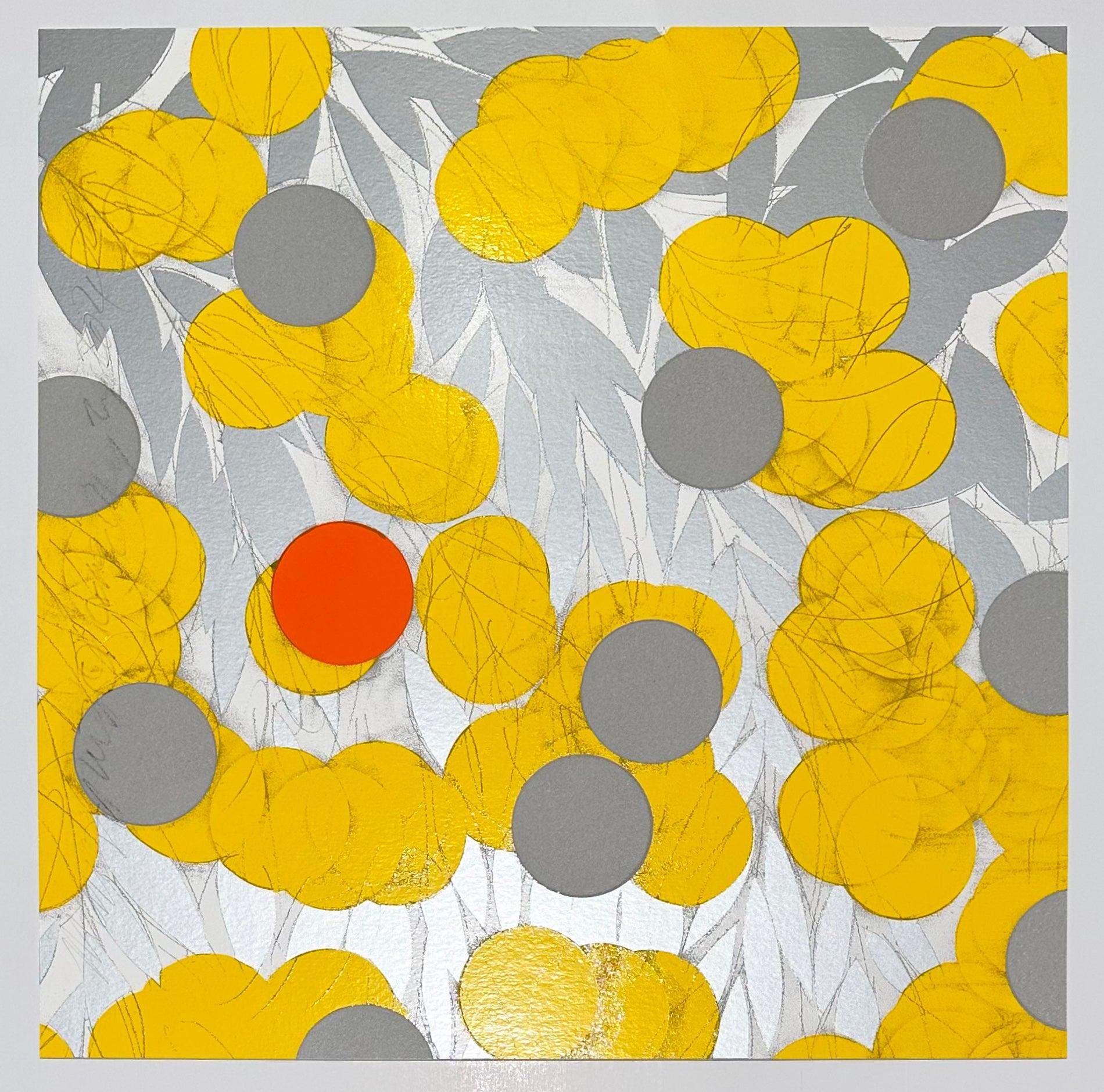 Mimosa with Orange, April 24, 2024 1