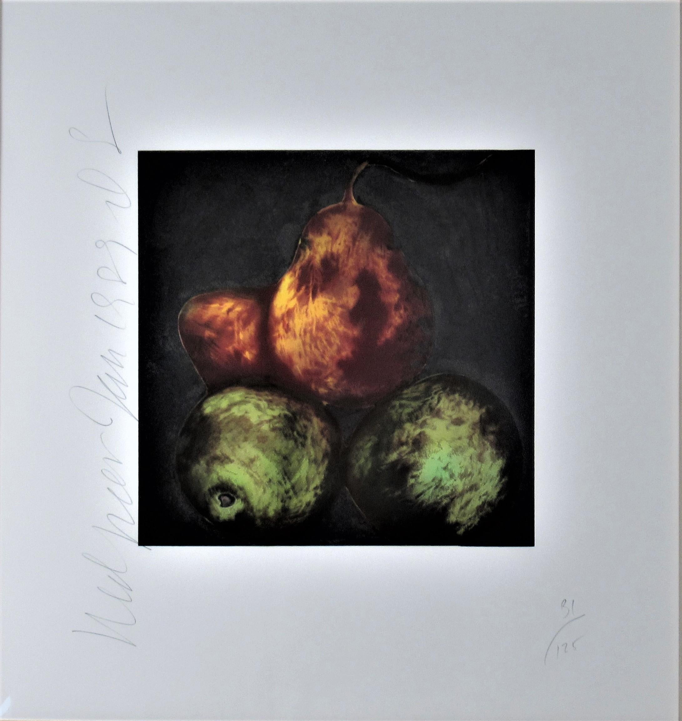 Pears - Print by Donald Sultan