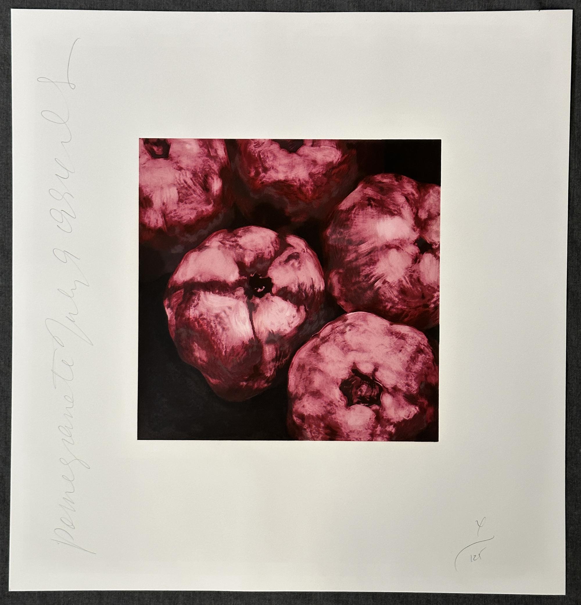 Granatäpfel 1994 Signiert Limitierte Auflage Siebdruck – Print von Donald Sultan