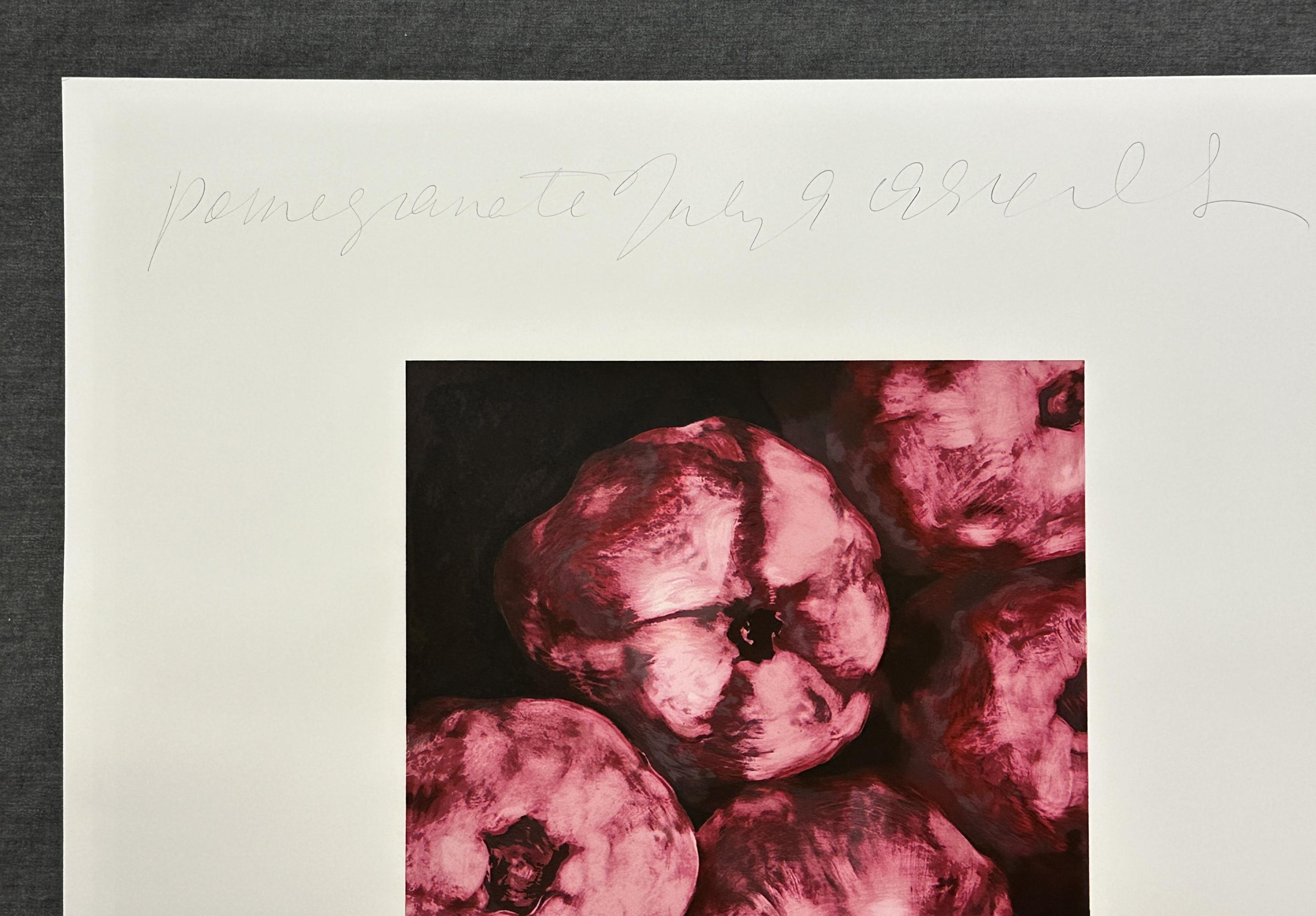 Granatäpfel 1994 Signiert Limitierte Auflage Siebdruck (Zeitgenössisch), Print, von Donald Sultan