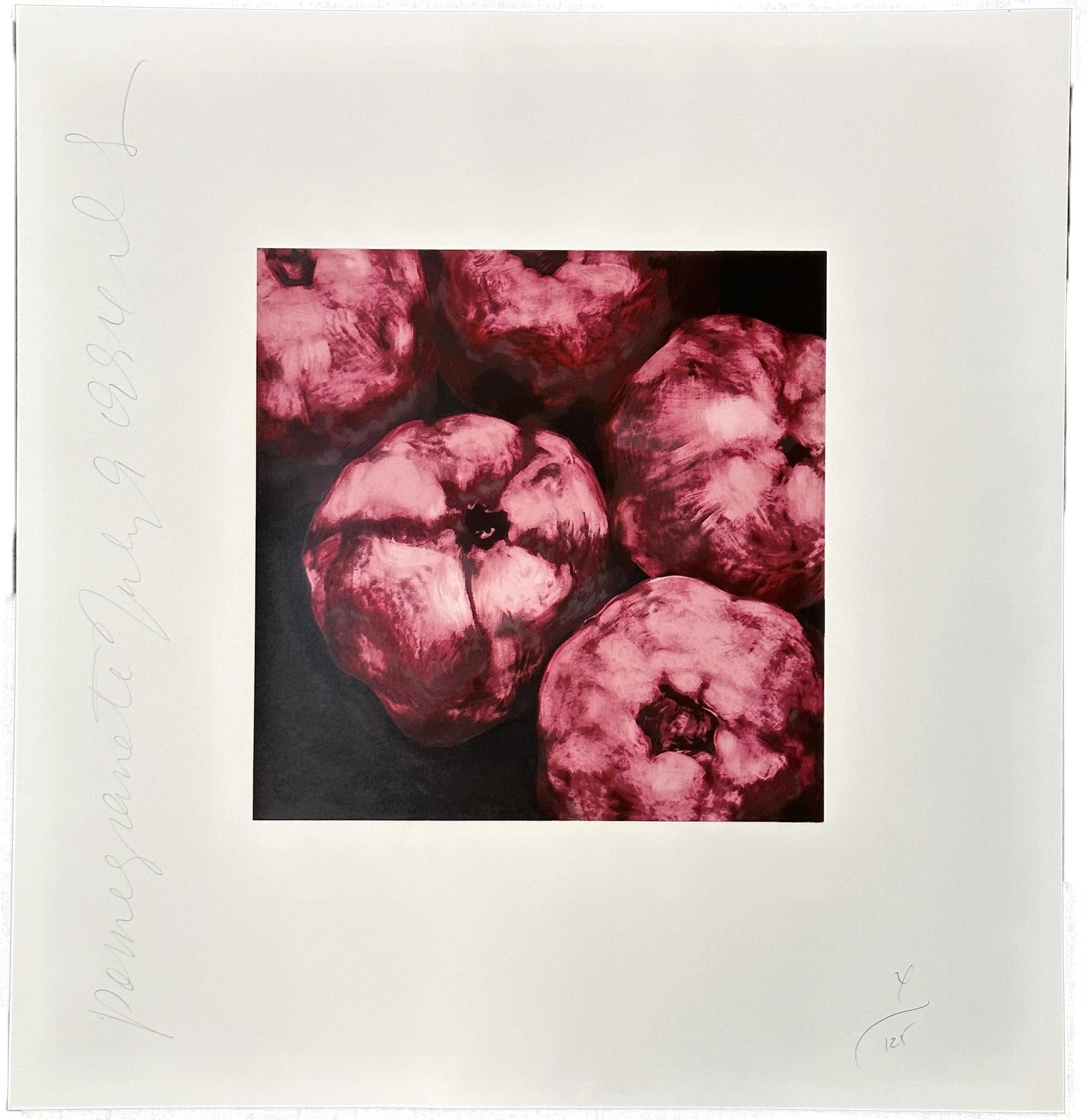 Donald Sultan Still-Life Print - Pomegranates 1994 Signed Limited Edition Silkscreen