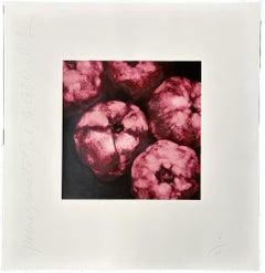 Vintage Pomegranates 1994 Signed Limited Edition Silkscreen