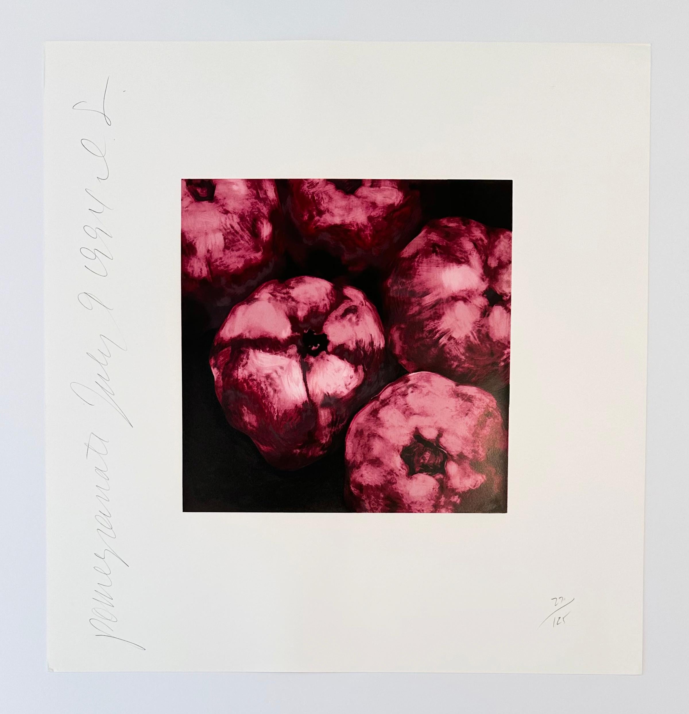 Pomegranates - Print by Donald Sultan