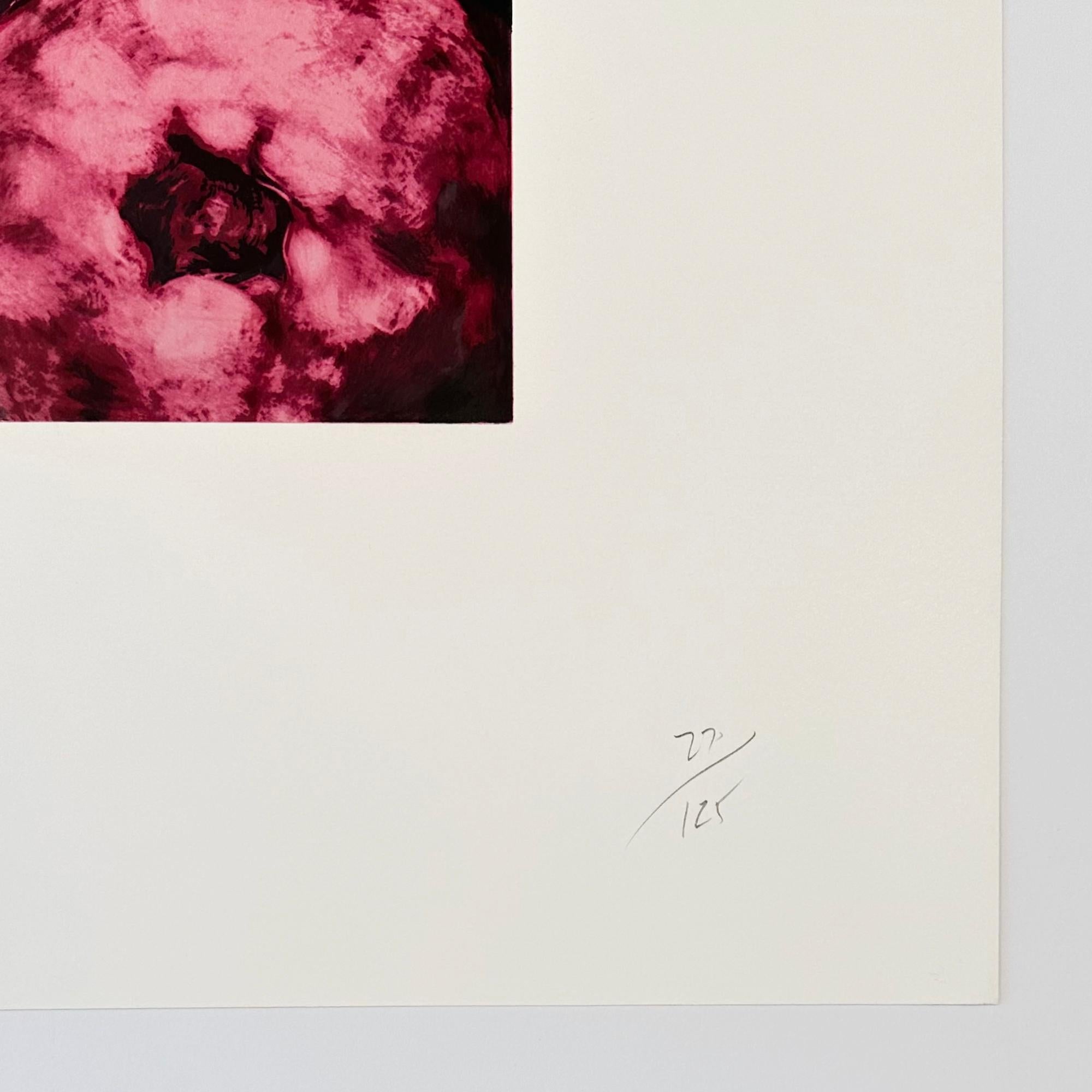 Pomegranates - Contemporary Print by Donald Sultan
