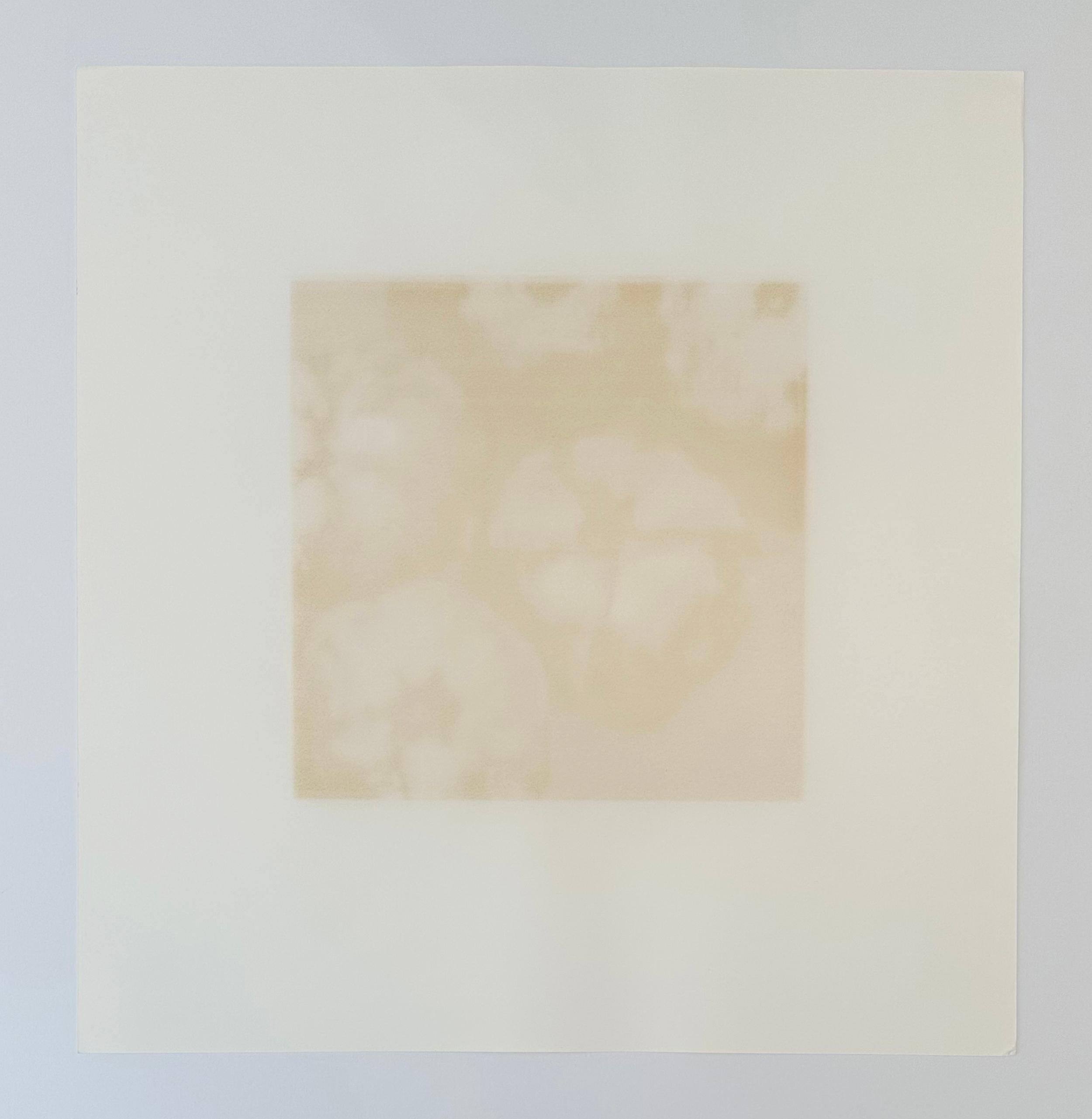Artist: Donald Sultan
Title: Pomegranates
Portfolio: 1994 Fruit and Flowers III
Medium: Screenprint
Date: 1994
Edition: 27/125
Sheet Size: 23