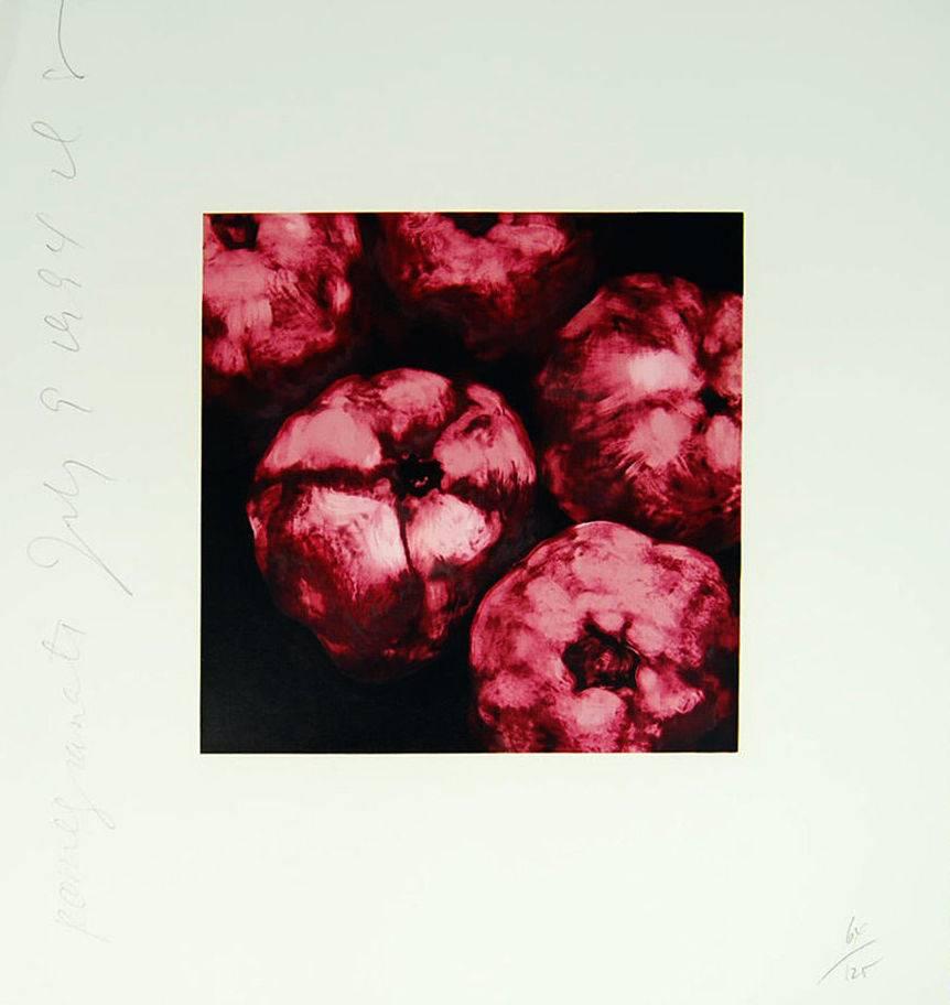 Donald Sultan Still-Life Print – Granatäpfel