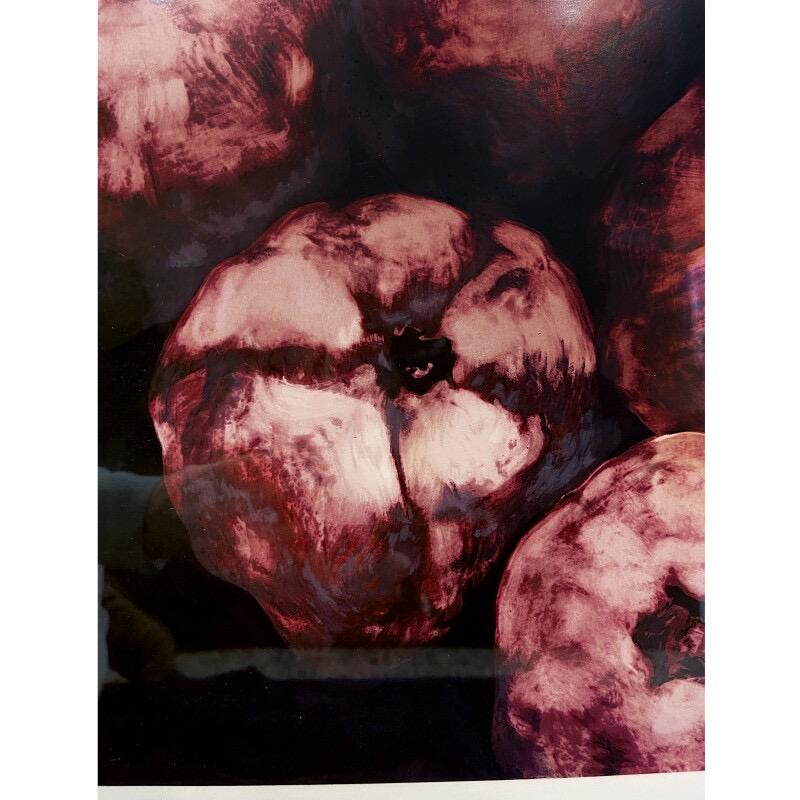 Pomegranates from Fruit and Flowers III - Contemporary Print by Donald Sultan