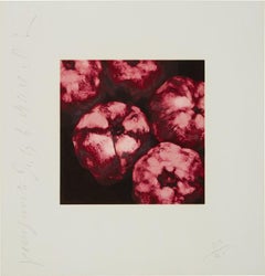 Melograni da Fruit and Flowers III
