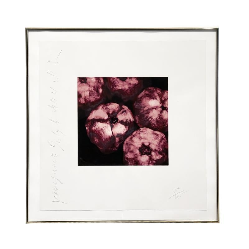 Pomegranates from Fruit and Flowers III - Print by Donald Sultan