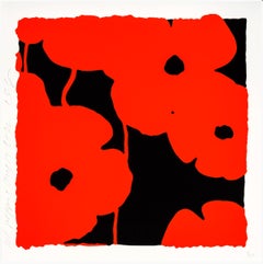 Red Poppies, Aug 17, 2022