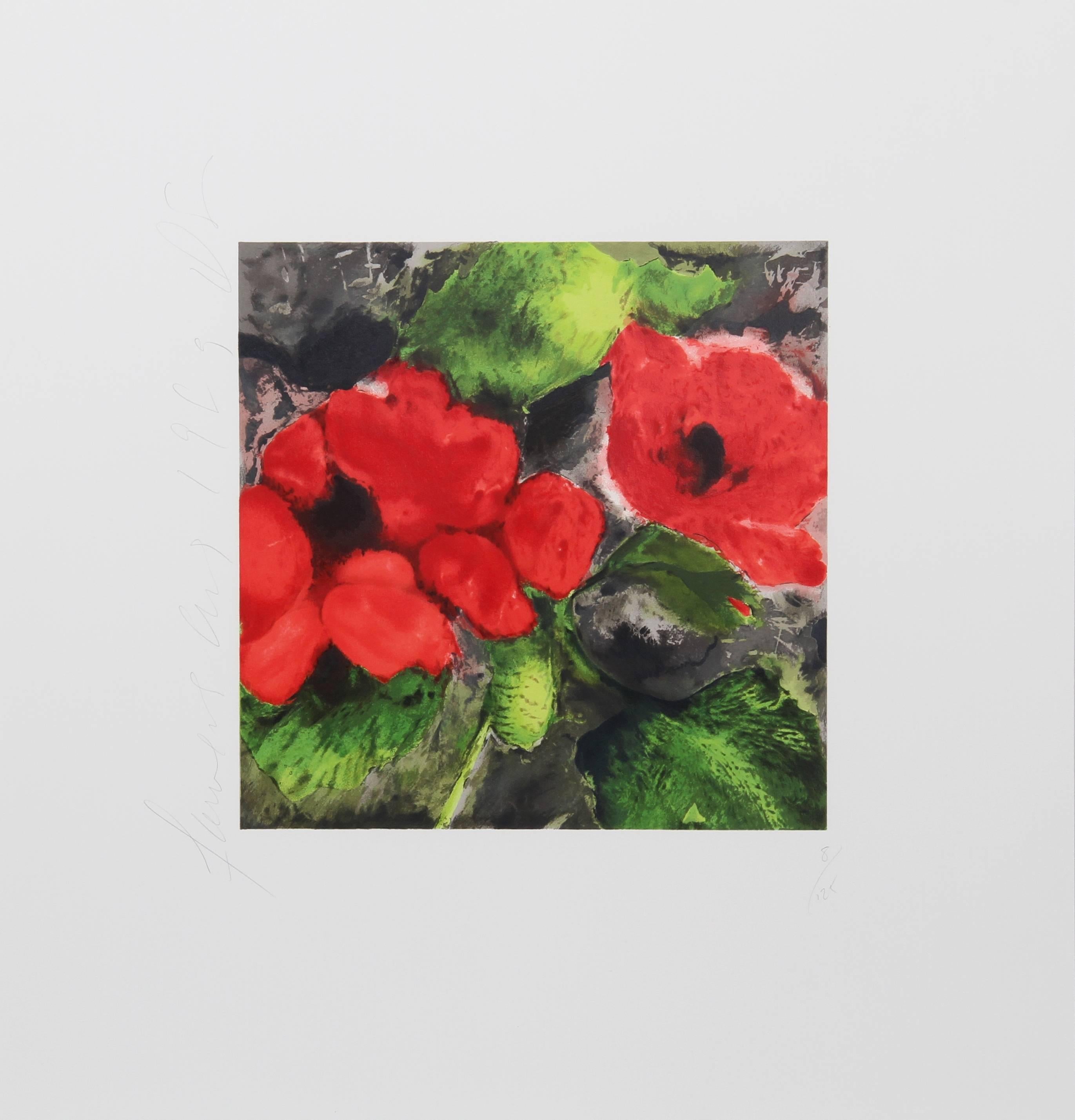 Künstler: Donald Sultan, Amerikaner (1951 - )
Titel: Rote Mohnblumen
Jahr: 1989
Medium: Siebdruck, signiert und nummeriert mit Bleistift
Auflage: 125
Bildgröße: 12 x 12 Zoll
Größe: 23 x 22 Zoll (58,42 x 55,88 cm)