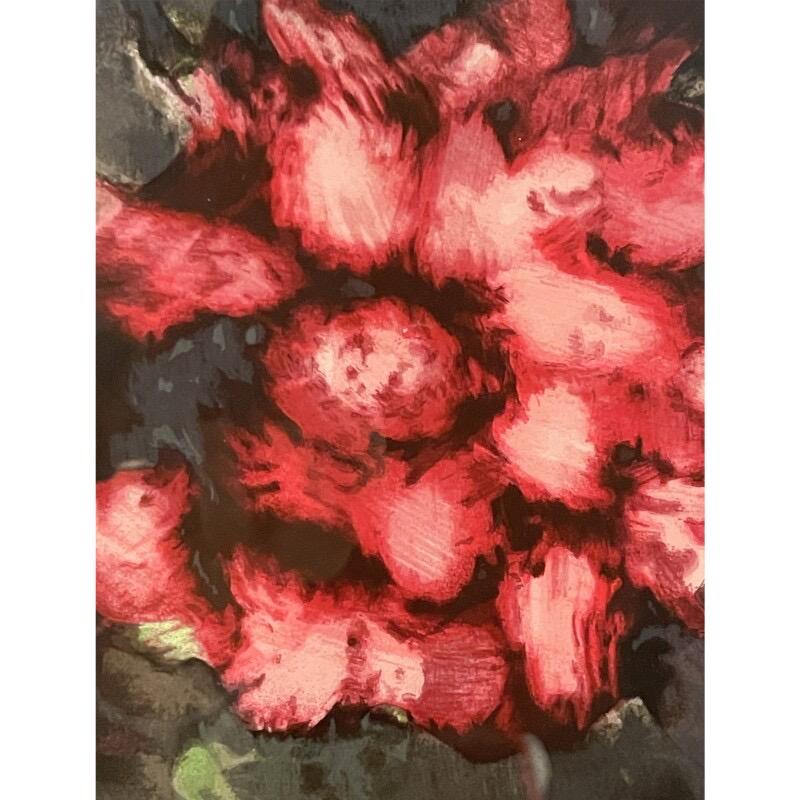 Red Roses from Fruits and Flowers III - Print by Donald Sultan