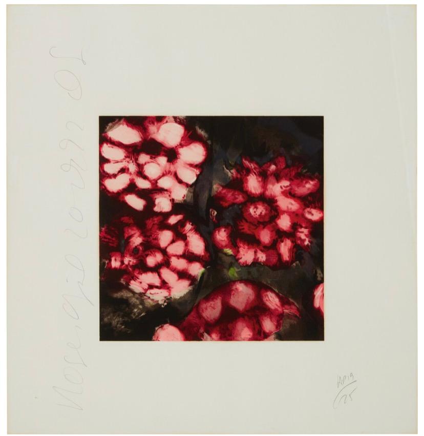 Red Roses Screen Print, Minimalist, Signed, Edition of 125, 1990s