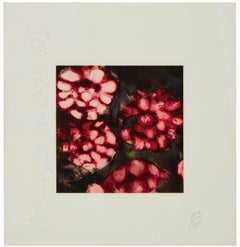 Red Roses from Fruits and Flowers III