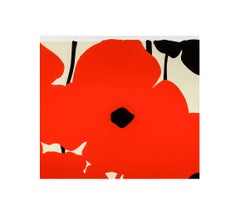 Rojos y Negros 20 de agosto de 2020