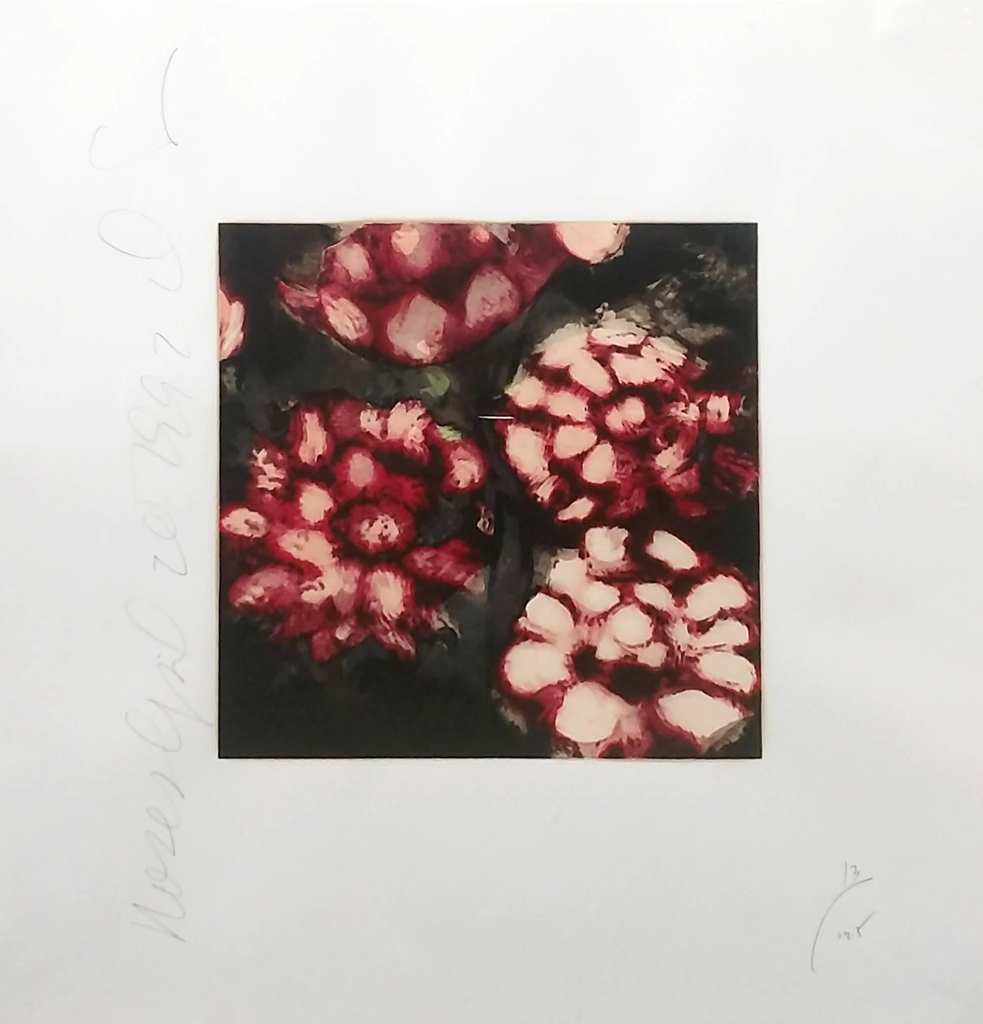 ROSES - Print by Donald Sultan