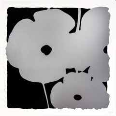 Amapolas de Plata, 17 de agosto de 2022