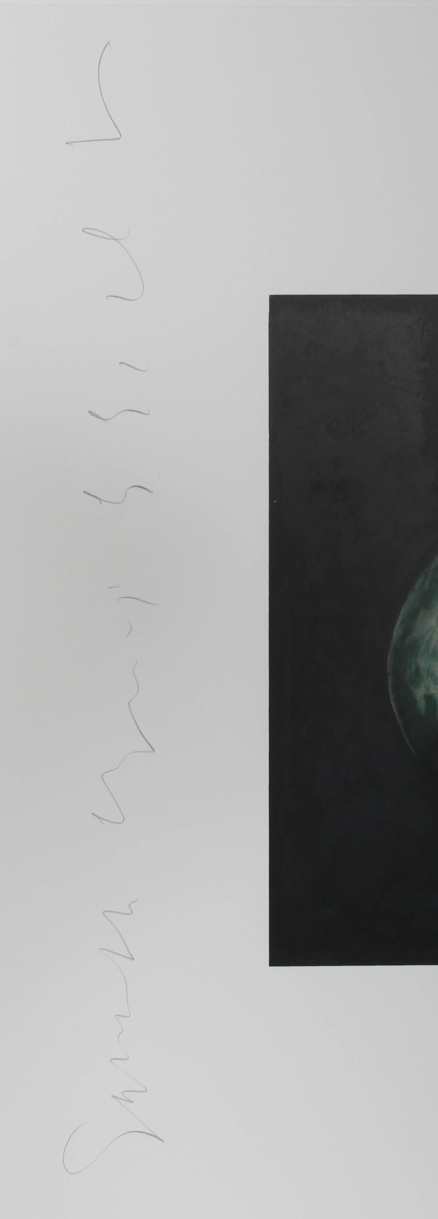 Squash, Conceptual Signed Screenprint by Donald Sultan For Sale 1
