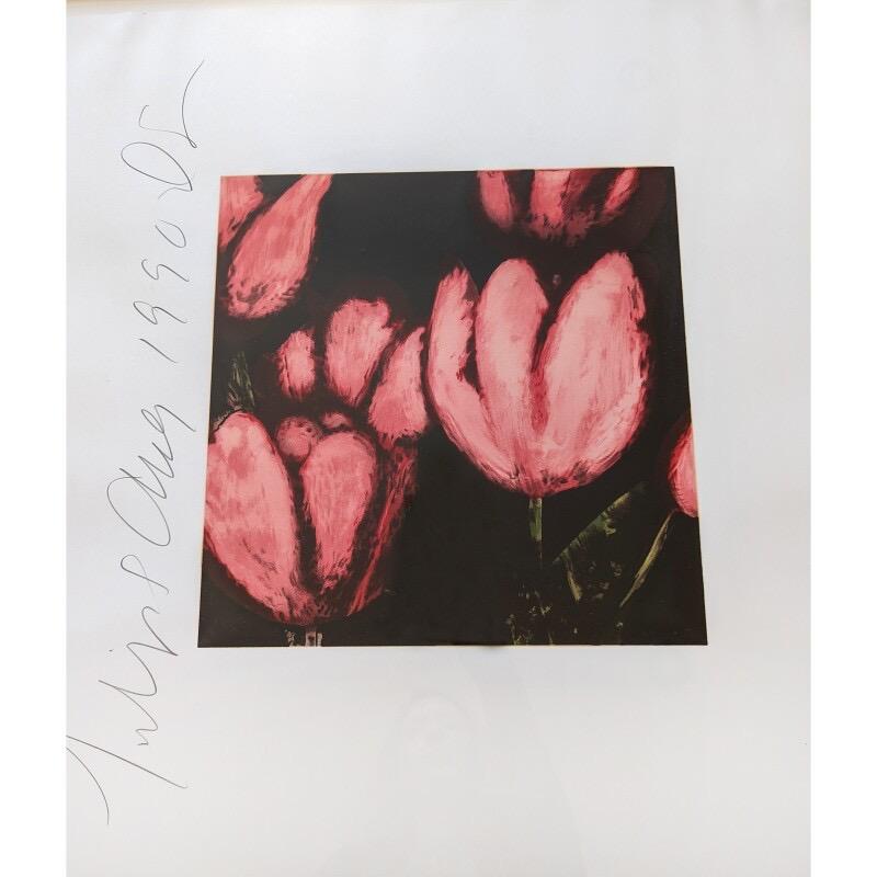 Tulpen aus Früchten und Blumen III – Print von Donald Sultan